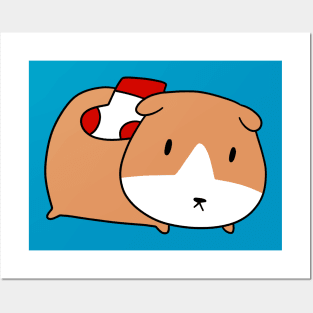 Sock Guinea Pig Posters and Art